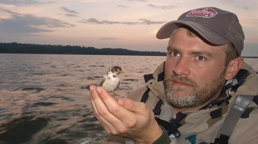 Animaux migrateurs : face au déclin, les États se mobilisent pour mieux les protéger