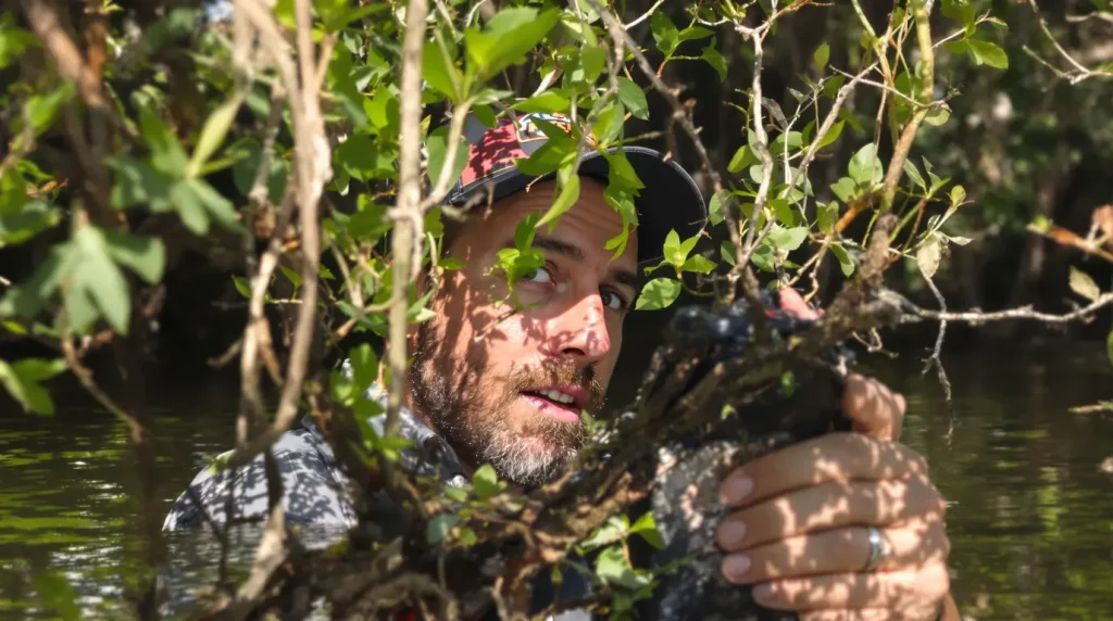 La périploque de Grèce, une jolie fleur qui crée de sérieux problèmes dans les zones humides vauclusiennes